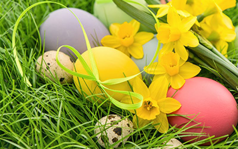 blumen-schoenleber_altdorf_aktionen_ostern blumen-schoenleber_altdorf_aktionen_ostern