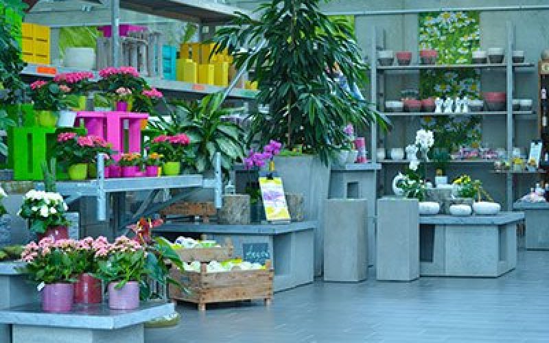 blumen-schoenleber_altdorf_geschenkideeen_keramik_accessoires_deko blumen-schoenleber_altdorf_geschenkideeen_keramik_accessoires_deko