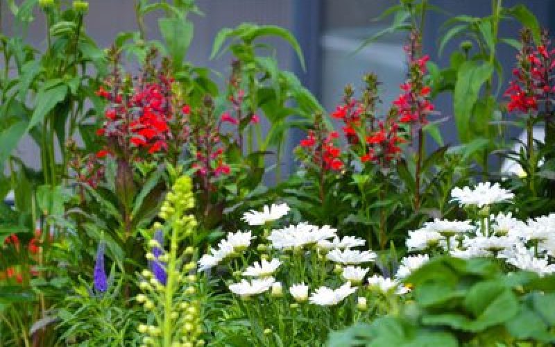 blumen-schoenleber_altdorf_service_grabgestaltung blumen-schoenleber_altdorf_service_grabgestaltung